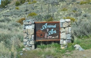 animal ark entrance