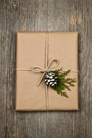 bigstock-Christmas-Present-In-Brown-Pap-39817627