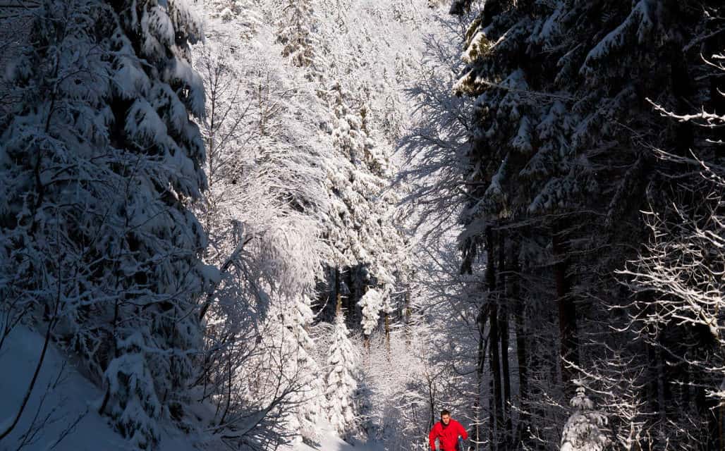 CROSS COUNTRY SKIING & SNOWSHOEING