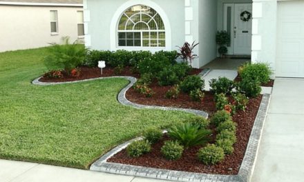 Home & Garden Tips for Curb Appeal