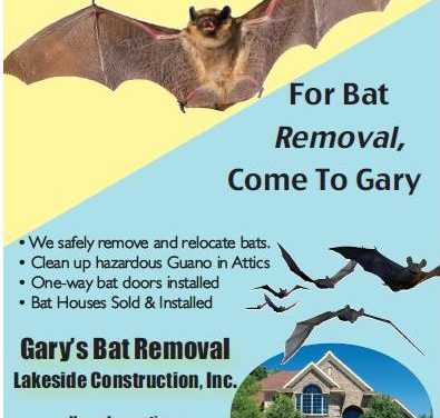 Gary’s Bat Removal (530) 258-2811 Chester Ca Pest Control, Live Bat Removal Plumas County, Bat Control Lassen County WebDirecting.Biz