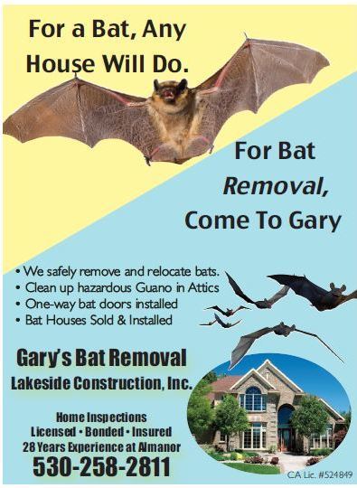 Gary’s Bat Removal (530) 258-2811 Chester Ca Pest Control, Live Bat Removal Plumas County, Bat Control Lassen County WebDirecting.Biz