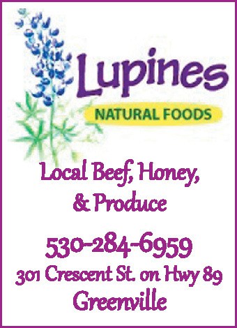 Lupines Greenville Ca 530-284-6959 Natural Foods, Health Food Store WebDirecting.Biz