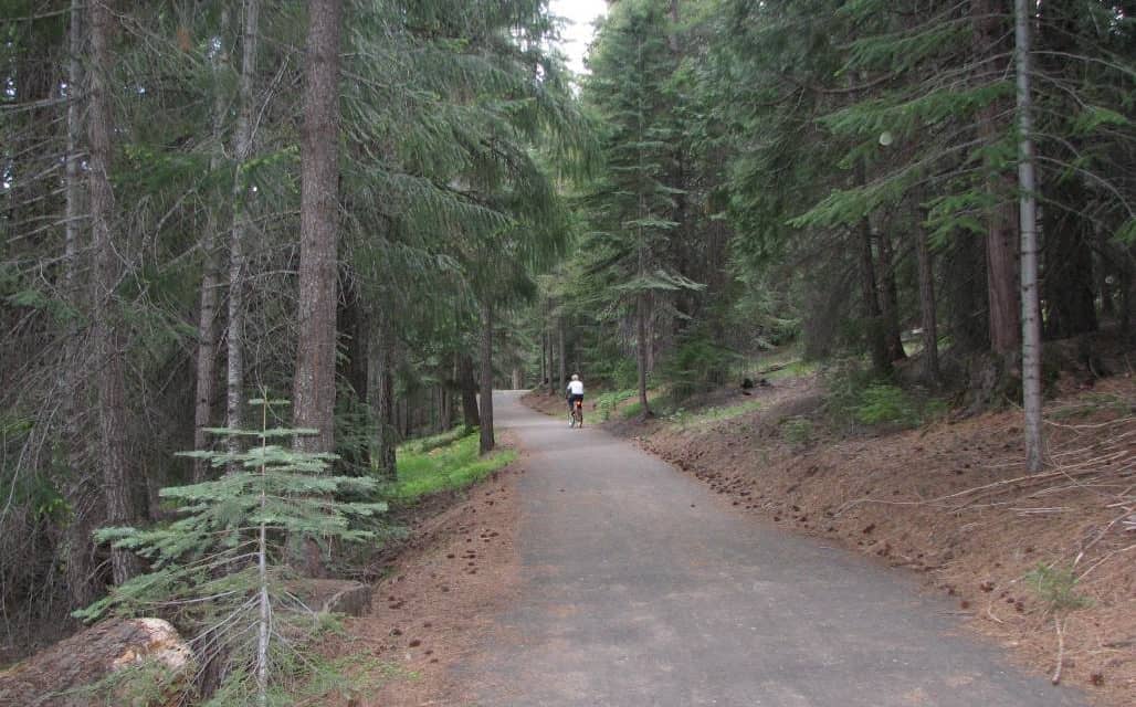Exercise In The Peace Of Nature,  Lake Almanor Recreation Trail