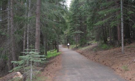 Exercise In The Peace Of Nature,  Lake Almanor Recreation Trail