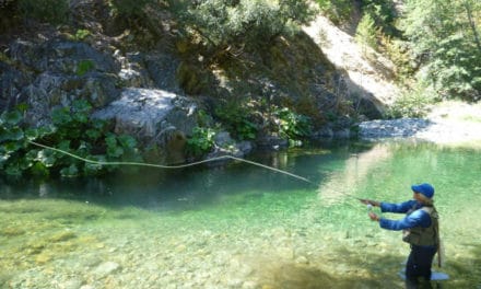 Fly Fishing The North Fork Yuba River