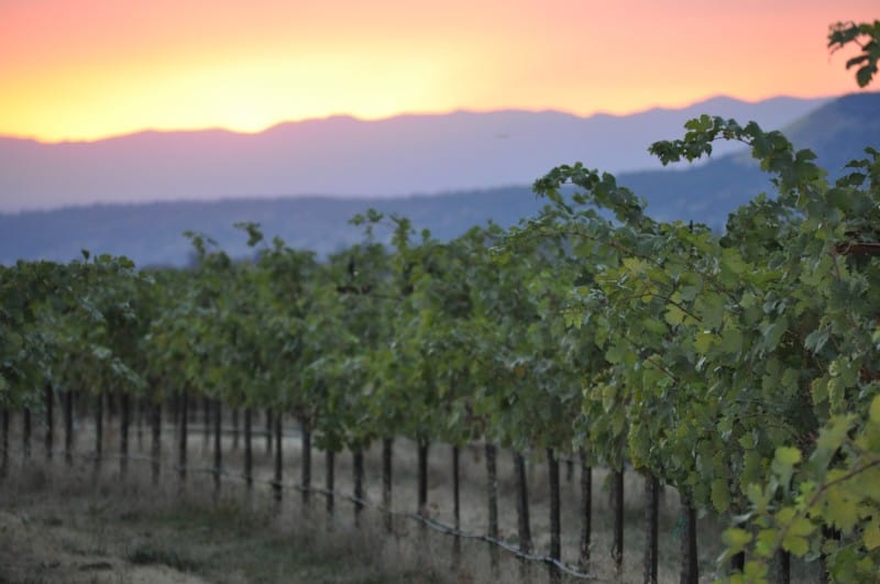 Fine Wines And Tasting Manton California Wineries Mountain Valley Living