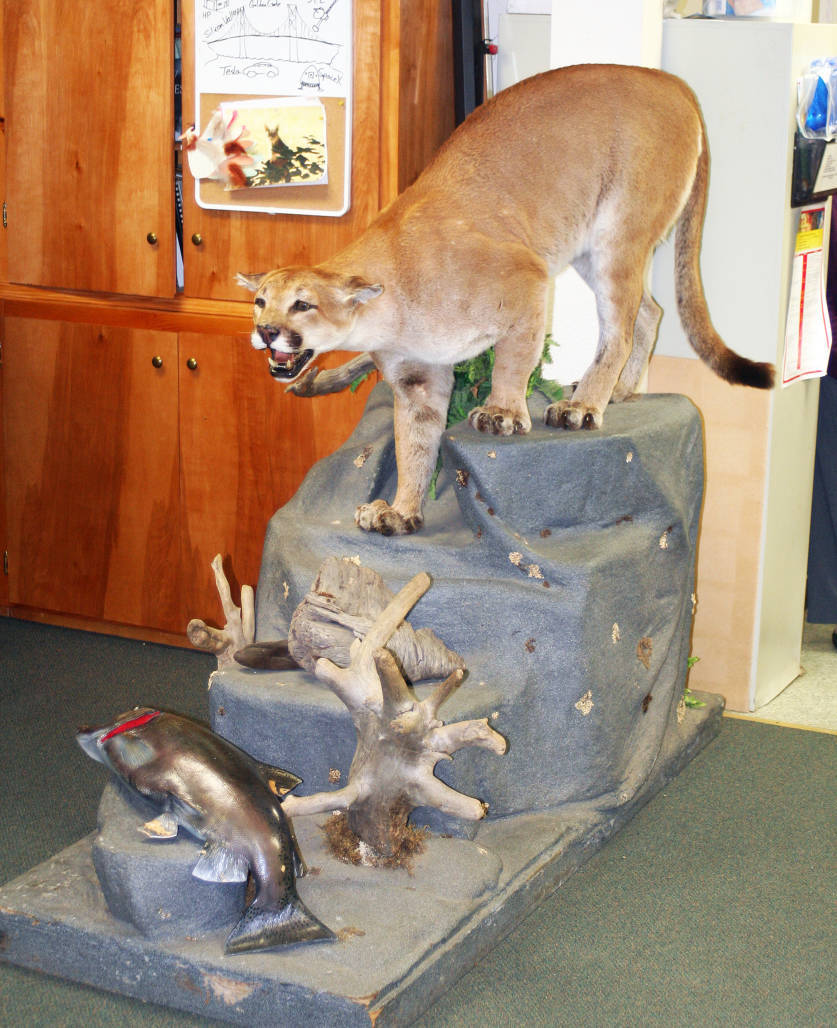 Sacramento River Discovery Center: Enhancing Our Appreciation of The