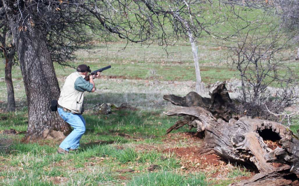 The NorCal Region Abounds in Hunting Opportunities