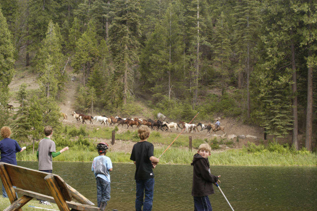 horsesRunningKidsFishing