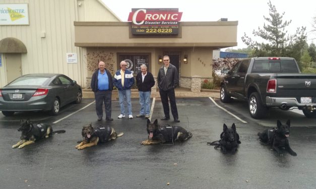 Extra Protection for Redding’s Furry Five Canine Cops