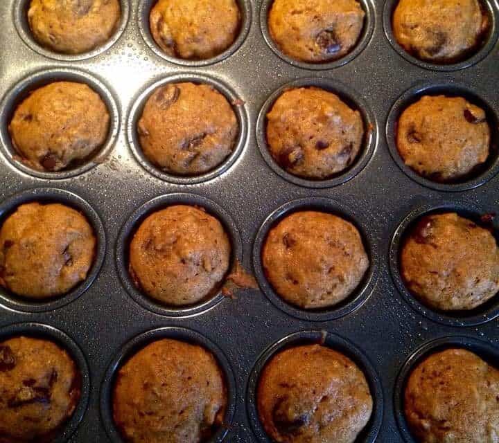 Leslie’s Mini Pumpkin Chocolate Muffins