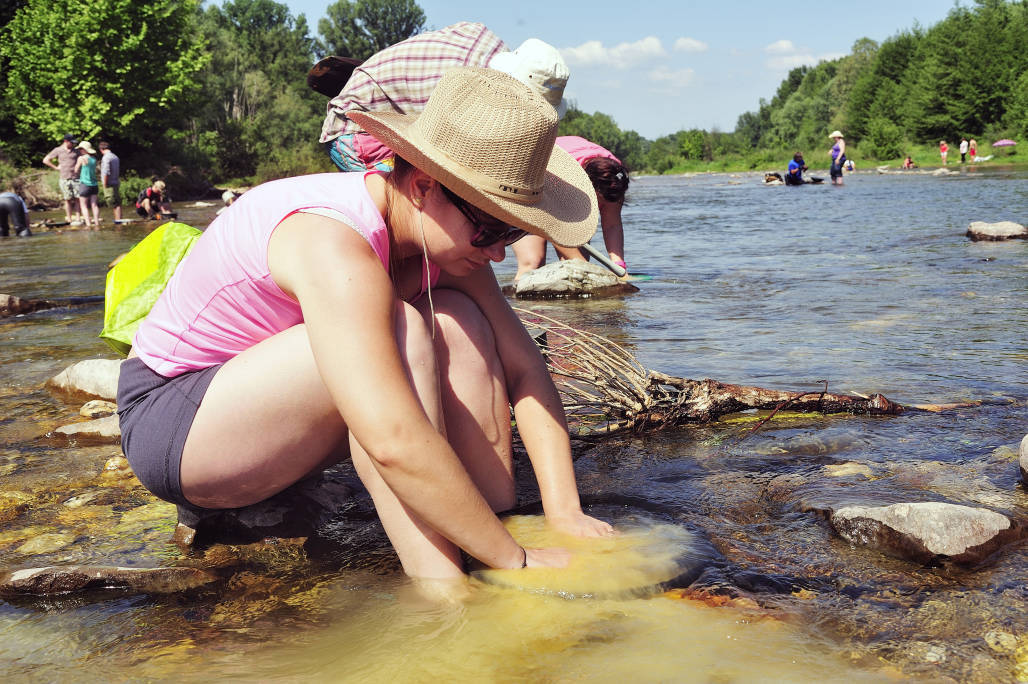 panning for gold