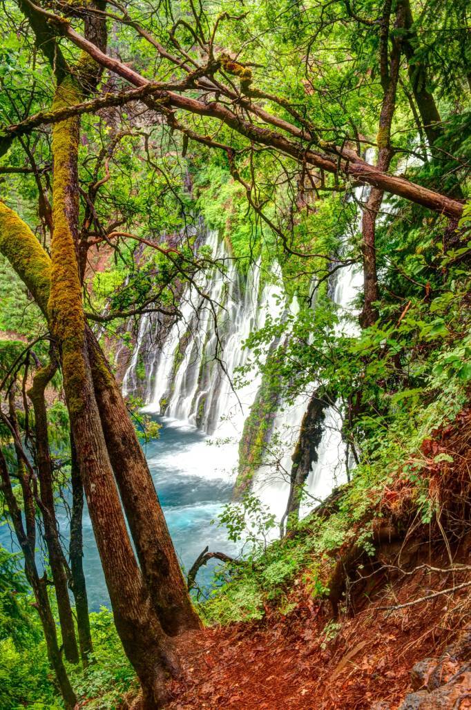 Burney Falls