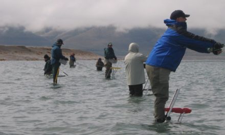 Ladder Fishing at Pyramid Lake