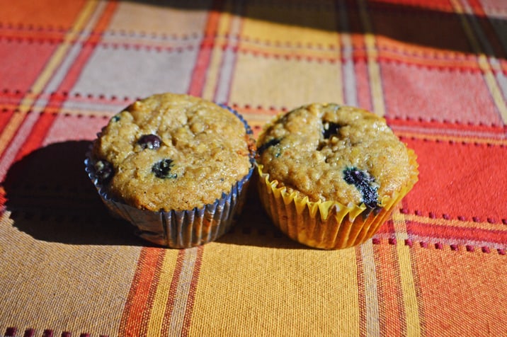 blackberry muffins, mountain valley living