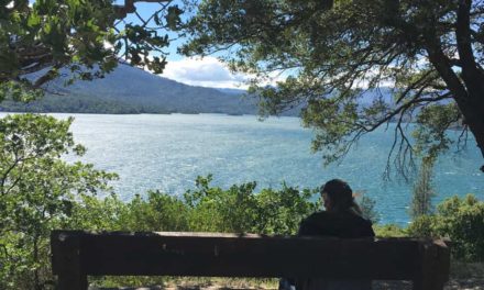 Road Trip To Whiskeytown National Recreation Area