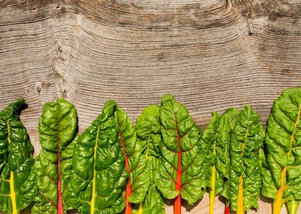 Rainbow Chard