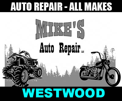 Mikes Auto Repair, LLC -Westwood, CA 530-776-9478, Ford Specialist, all makes & models