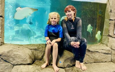 Discovering SeaQuest – An Interactive Aquarium By Mara Dobyns –