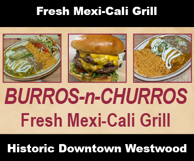 Burros-n-Churros fresh Mexi-Cali Grill