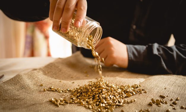 PLUMAS  COUNTY GOLD!