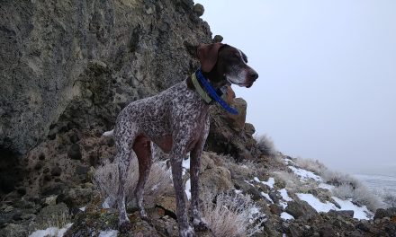 “Pogonip, look at the dog’s feet!” 