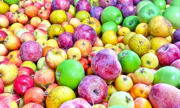 Lassen Traditional Cidery