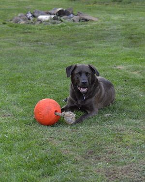 Tank On That Scary Holiday – New Year’s Eve