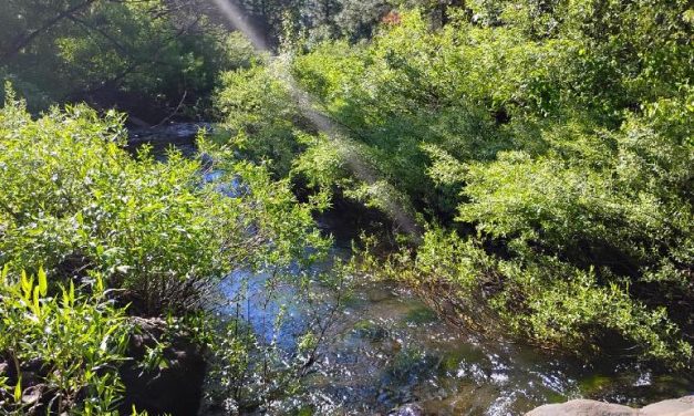 Airbnb Rent Home-Creekside-Lake Almanor 6 mi.