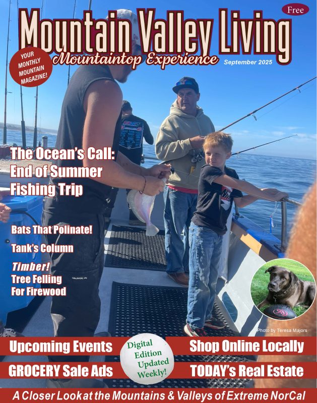 Current Monthly Digital Edition