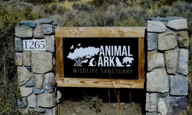 The Animal Ark Wildlife Sanctuary  In Reno, NV at Red Rocks