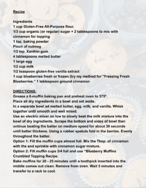 Gluten Free Blueberry Muffin Recipe